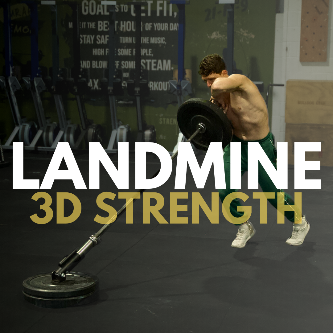 LANDMINES 3D