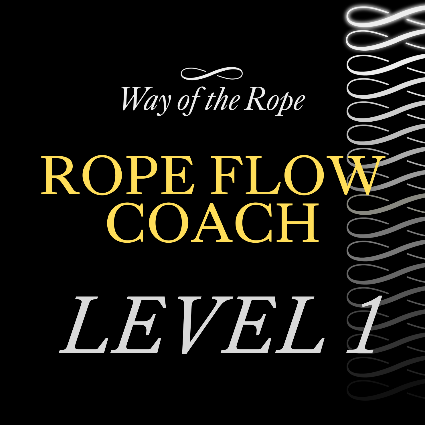 ROPE FLOW COACH - Level 1 | Bristol